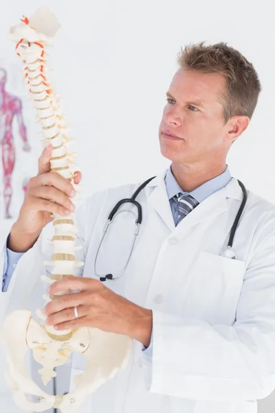Médico segurando uma coluna anatômica — Fotografia de Stock