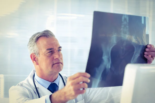 Doctor holding and examining X-ray — Stock Photo, Image