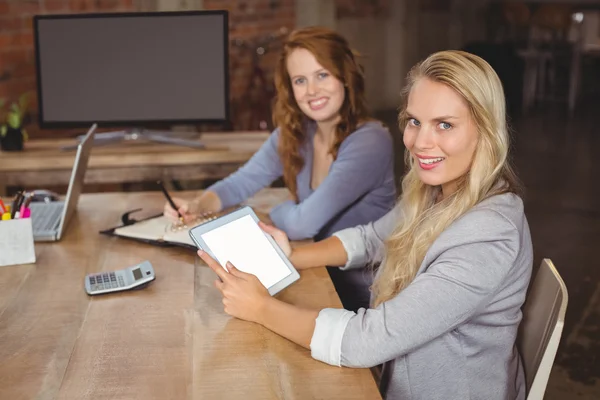 Ler affärskollegor poserar — Stockfoto