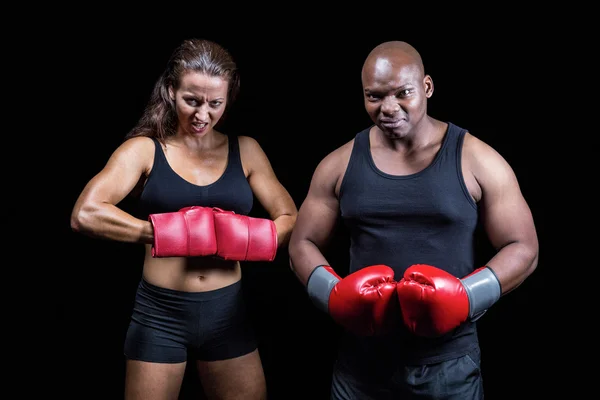 Portret van mannelijke en vrouwelijke boxers met handschoenen — Stockfoto