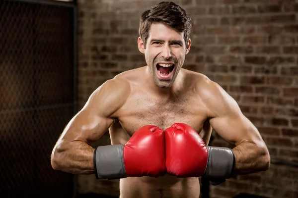 Hombre sin camisa sonriendo mientras usa guantes de boxeo —  Fotos de Stock