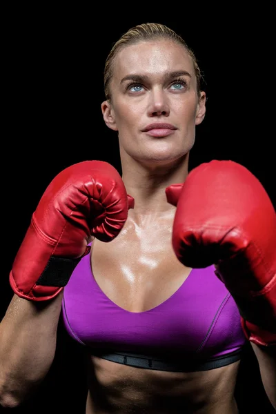 Boxeadora femenina segura con guantes —  Fotos de Stock