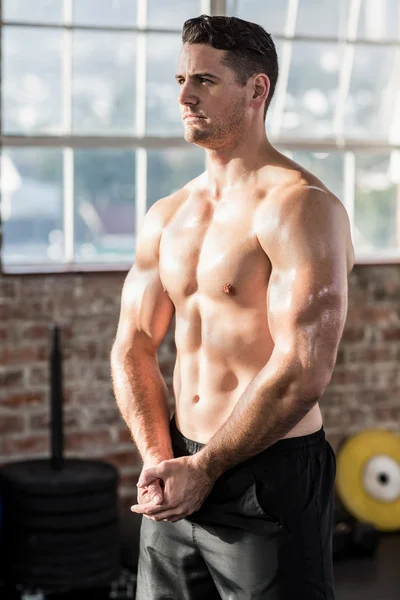 Muskulös allvarlig man poserar i crossfit gym — Stockfoto