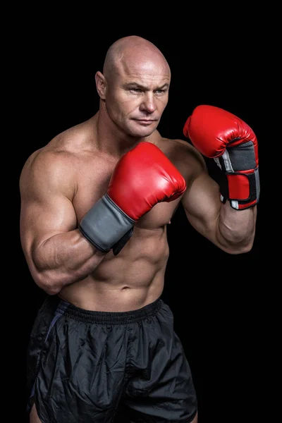 Boxer careca com luvas vermelhas — Fotografia de Stock