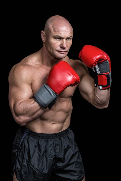 Glatzboxer mit roten Handschuhen — Stockfoto