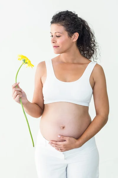 Gravid kvinna tittar på blomma — Stockfoto