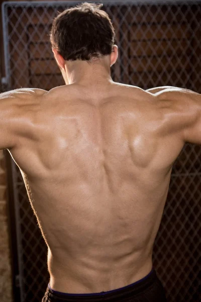 Rear view of muscular man — Stock Photo, Image