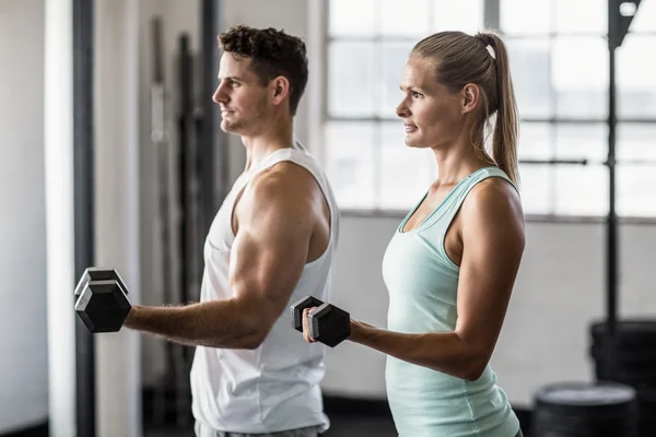 Pareja haciendo ejercicio con pesas en el gimnasio —  Fotos de Stock