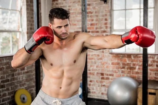 Muskulöser Mann mit Boxhandschuhen und posiert — Stockfoto