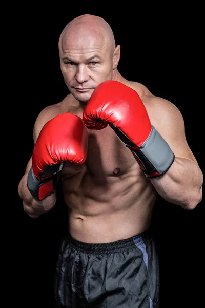 Retrato de boxeador con guantes — Foto de Stock