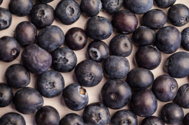 Fresh blueberries in close up clipart
