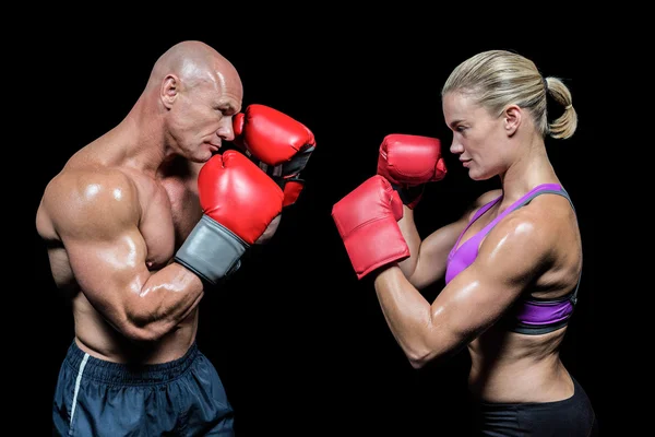 Zijaanzicht van boxers met vechten houding — Stockfoto