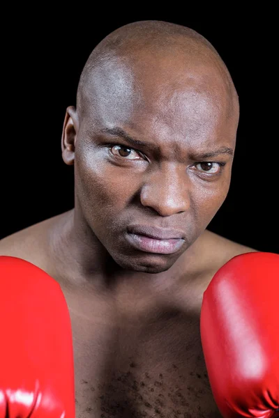 Retrato de boxeador calvo grave con guantes rojos — Foto de Stock