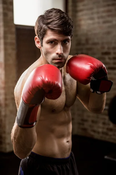 Porträt eines ernsthaften Mannes mit Boxhandschuhen — Stockfoto