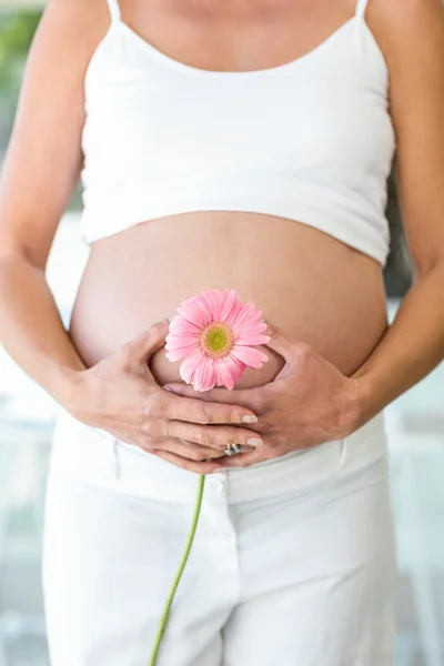 Pembe çiçek tutan kadın midsection — Stok fotoğraf