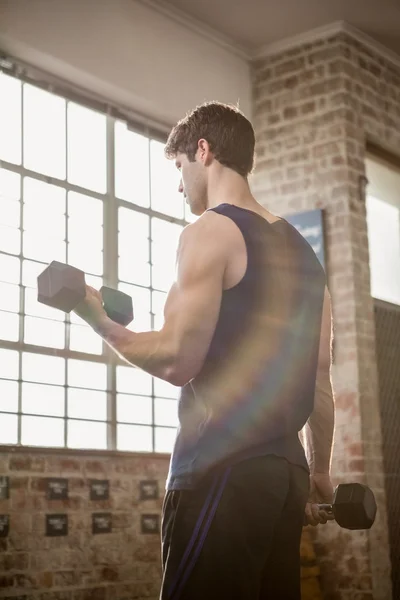Rear view of focused man lifting dumbbells — Stock Photo, Image
