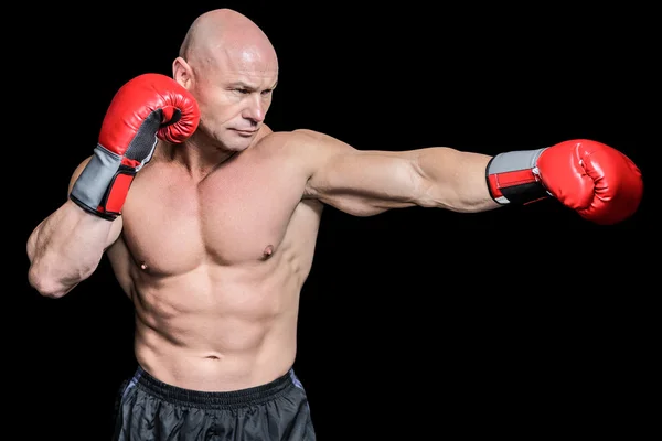 Careca boxeador em posição de luta — Fotografia de Stock