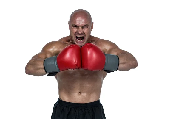 展示肌肉的攻击性拳击手 — 图库照片