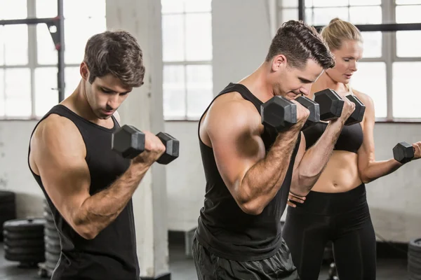 People exercising with dumbbell — Stock Photo, Image
