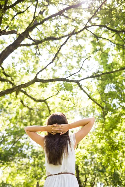 Visão traseira de baixo ângulo da mulher relaxando contra árvores — Fotografia de Stock