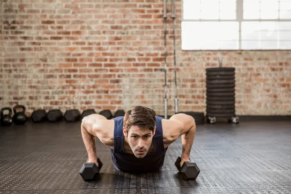 Man melakukan push up memegang dumbbell — Stok Foto