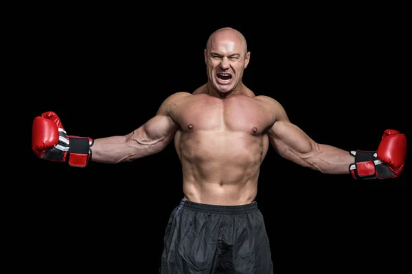 Udane bokser z rozpostartymi ramionami — Zdjęcie stockowe