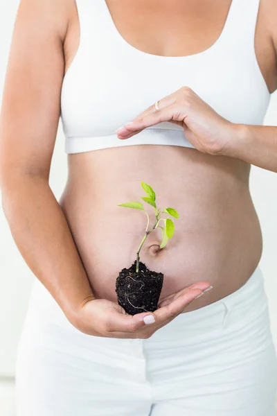 Schwangere hält Pflanze — Stockfoto
