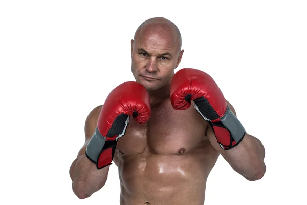 Retrato de boxeador careca em luvas vermelhas — Fotografia de Stock