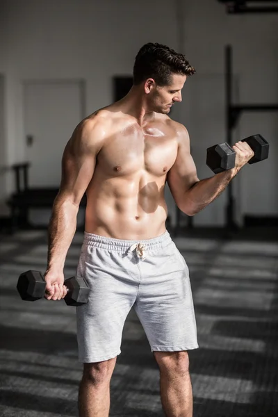 Muskulöser ernsthafter Mann beim Gewichtheben — Stockfoto