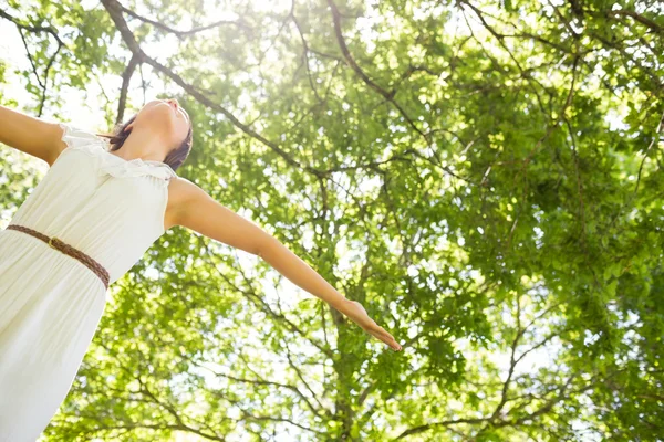 Vue en angle bas de jolie femme contre les arbres — Photo