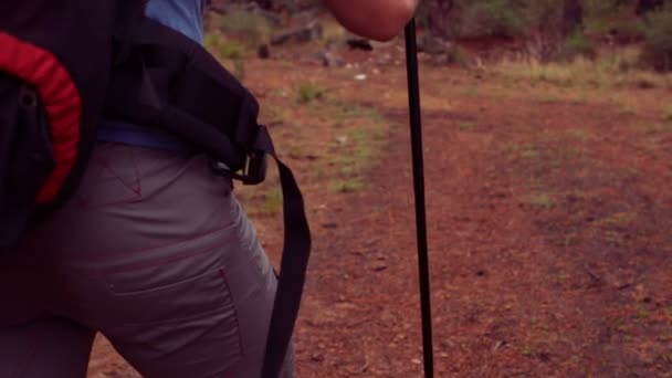 L'uomo che cammina attraverso una foresta — Video Stock