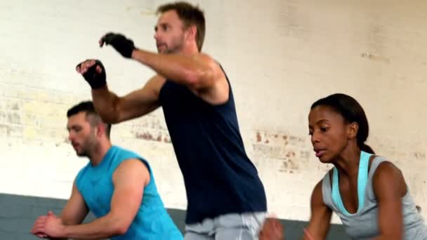 Fit personas haciendo saltos de caja en el gimnasio — Vídeo de stock