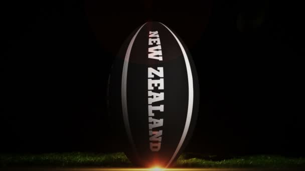 Player kicking new zealand rugby ball — Stock Video