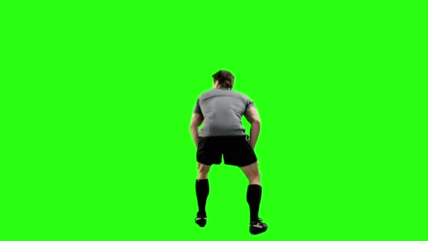 Rückansicht eines ernsthaften Rugby-Spielers — Stockvideo