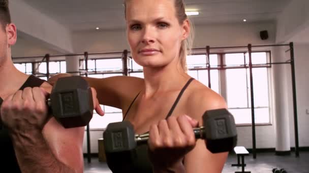 Passar folk poserar i crossfit gym — Stockvideo