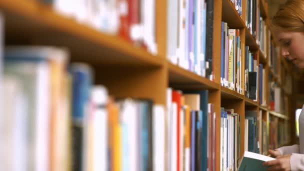 Estudiantes leyendo en una biblioteca — Vídeos de Stock