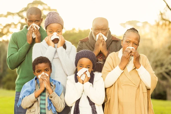 Famiglia allargata che soffia il naso — Foto Stock