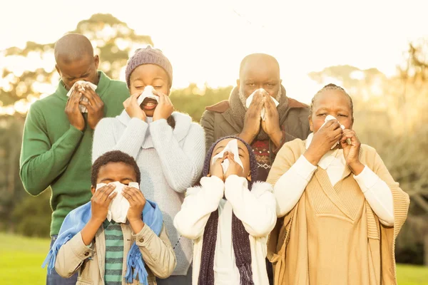 Famiglia allargata che soffia il naso — Foto Stock