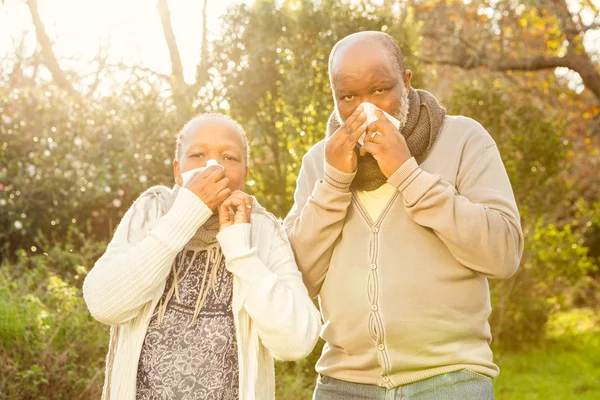 Senior couple blowing their nose — Stock Photo, Image