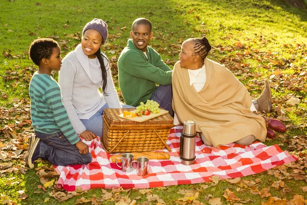 Счастливая семья устраивает пикник — стоковое фото