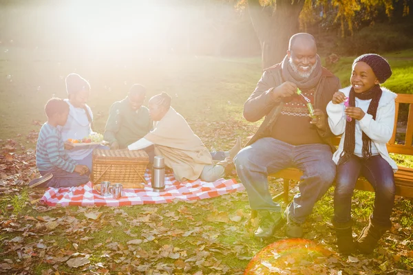 Familia feliz teniendo un picnic —  Fotos de Stock