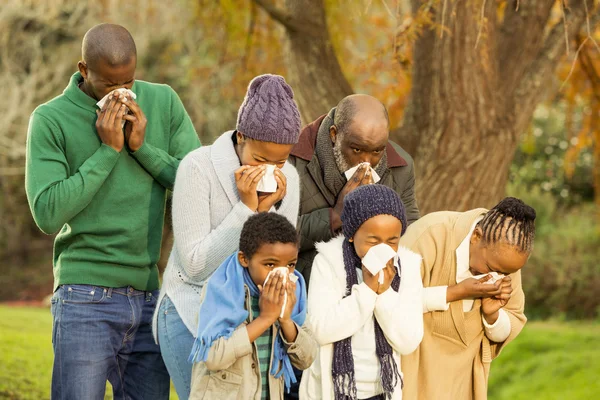 Sick family blowing their nose — Stock Photo, Image
