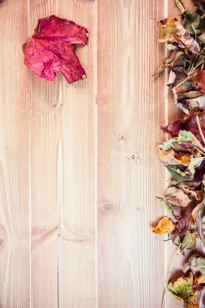 Herfst bladeren met kopieerruimte — Stockfoto