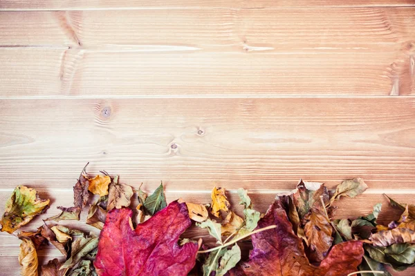 Herfst bladeren met kopieerruimte — Stockfoto