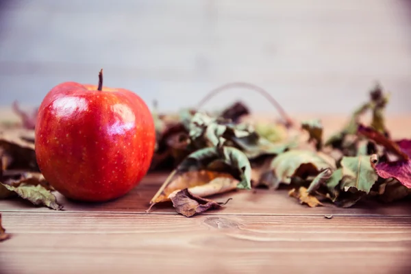 Red apple with autumn leaves — Stock Photo, Image