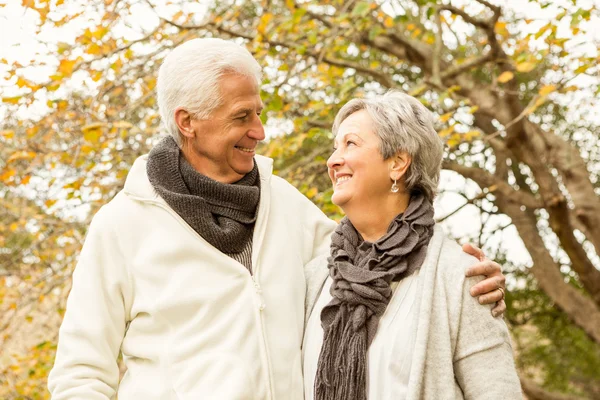 Pareja mayor en el parque — Foto de Stock