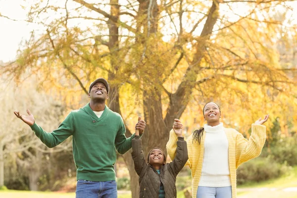 Retrato de una familia joven con los brazos levantados — Foto de Stock