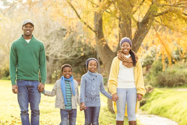 Retrato de una joven familia sonriente caminando —  Fotos de Stock