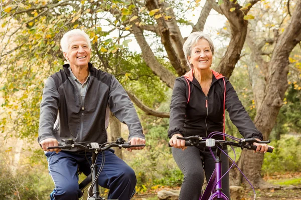 Senior par i parken — Stockfoto