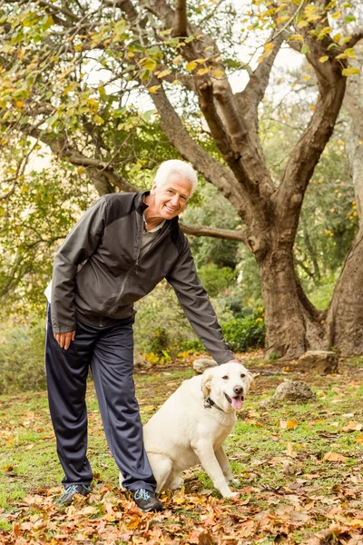 Старший чоловік зі своїм собакою в парку — стокове фото